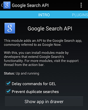 Google Search API Settings